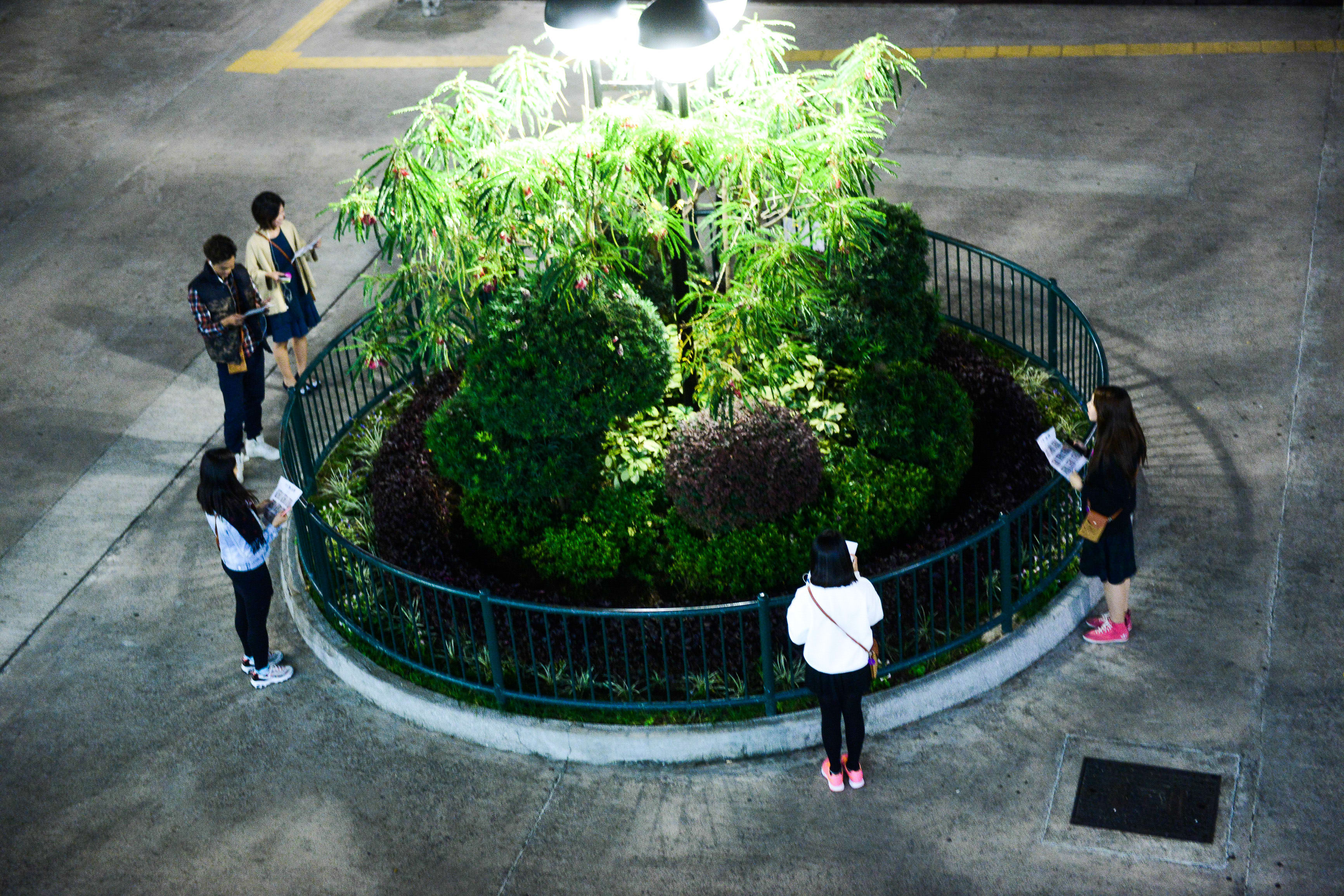 從高處俯瞰香港當代劇場製作《行為淪喪》（The Beautiful Ones）的排練現場。四位演員圍繞著夜間燈火通明的環形綠化花圃，花圃四周設有金屬圍欄。演員們手持劇本，在柔和的燈光下專注地研讀對白，展現了本地實驗劇場創作過程中充滿氛圍與深度的排練瞬間。《行為淪喪》