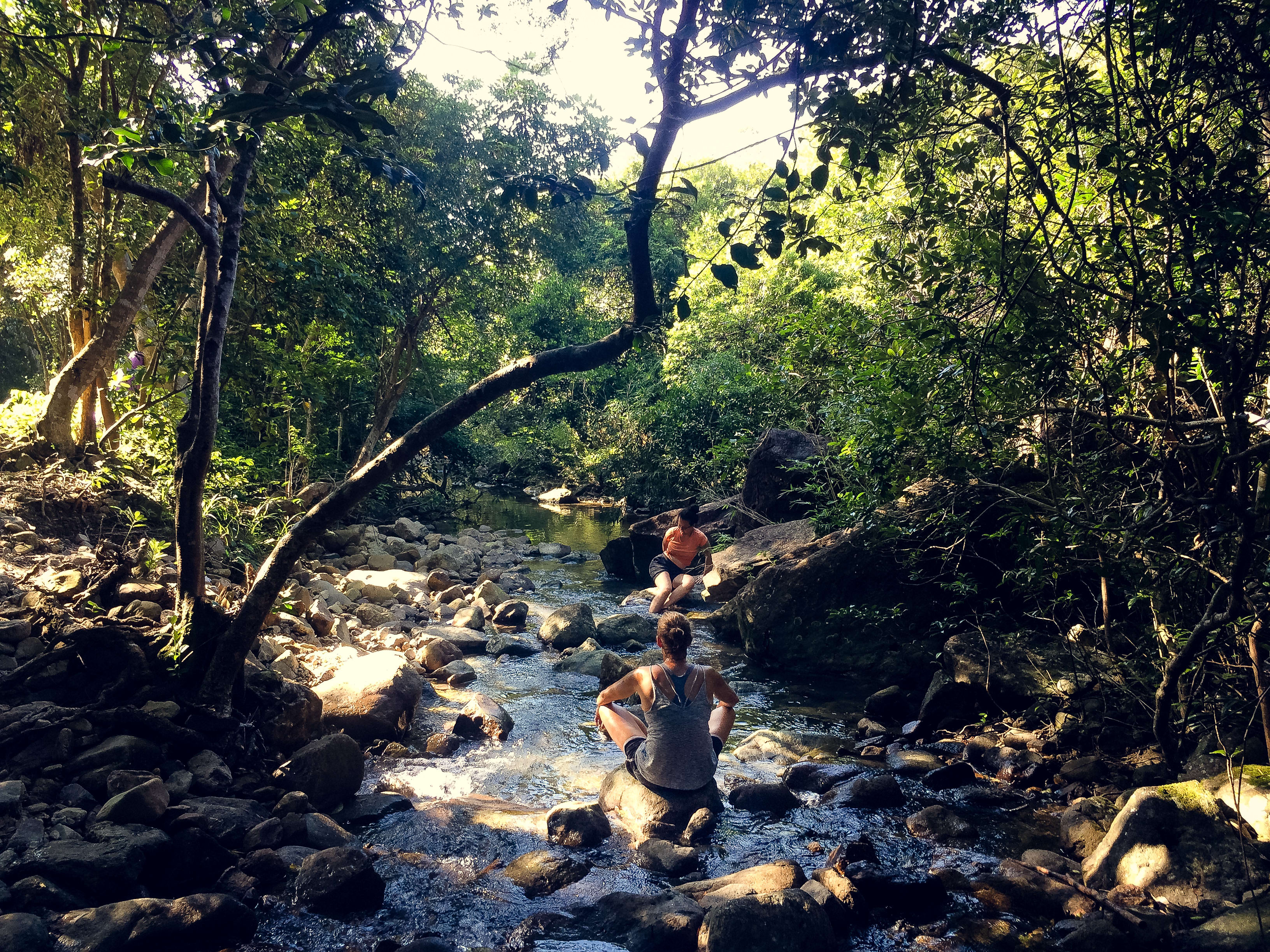 兩位表演者坐於西貢郊野公園溪流中的巨石上，在陽光斑駁的樹林間進行正念肢體練習，這是天台製作 (Rooftop Productions) 舉辦的《當劇場走進大自然2017》(Theatre in Nature 2017) 場域特定肢體劇場訓練營。森林中的光影交錯，展現了當代劇場走入自然後的沉浸式演出氛圍。離開城市的煩囂．．． 2017