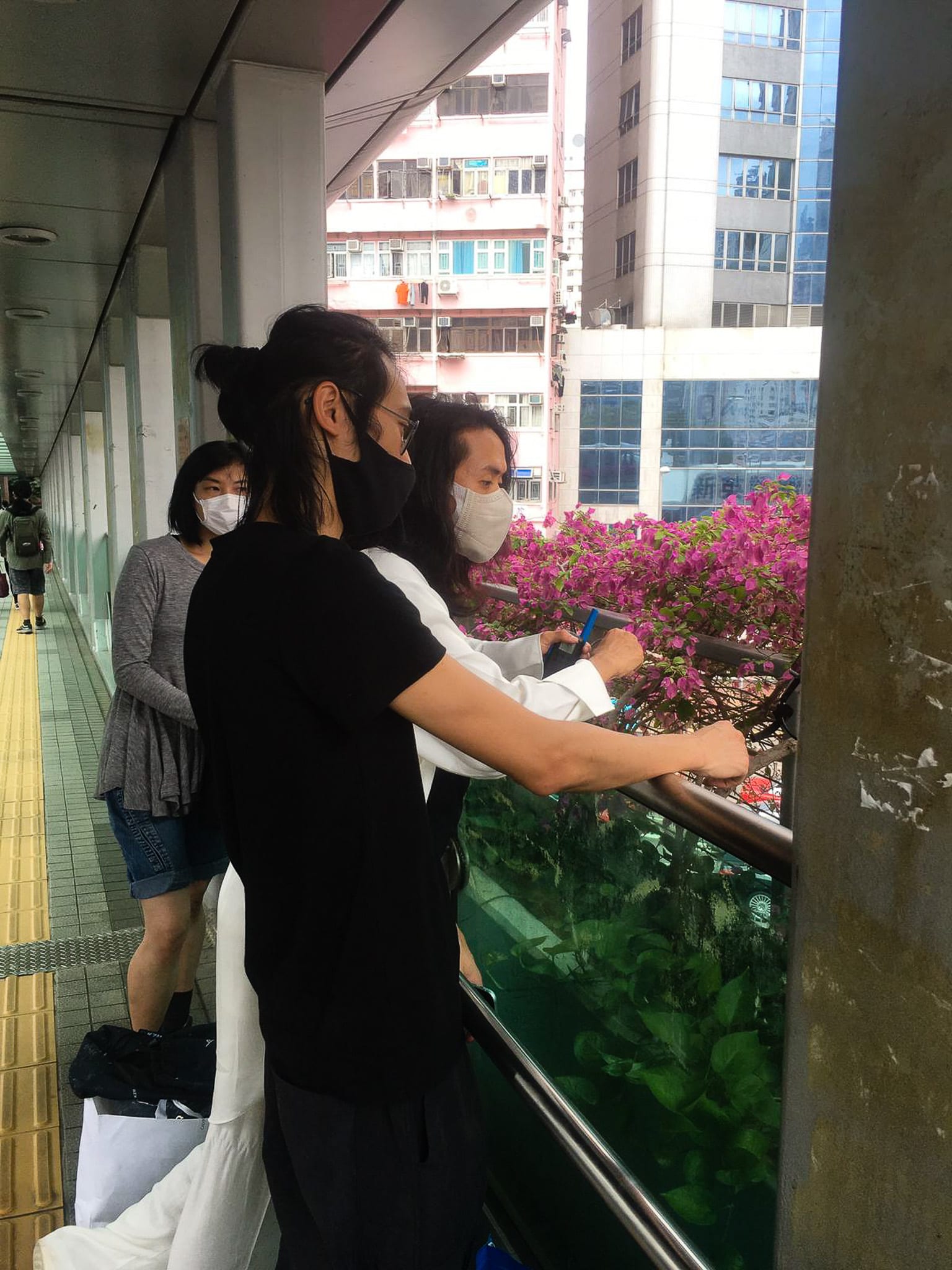 天台製作（Rooftop Productions）當代劇場作品《舞照跳》排練期間，演員陳熙鏞、莫嫣及 Jerry Ip 站在香港的行人天橋上。他們凝視著欄杆外盛開的九重葛與城市景觀，這一刻深刻地呈現了作品中關於「歷史」的沈思。