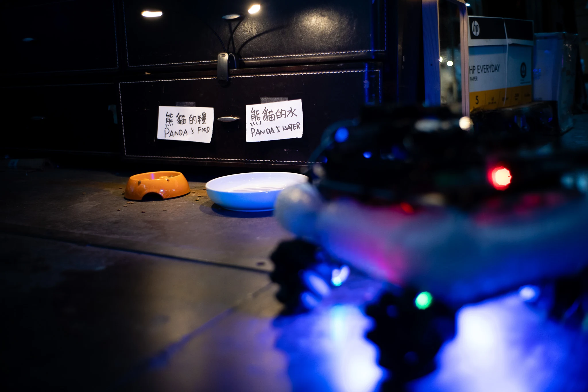 Panda's bowl and water