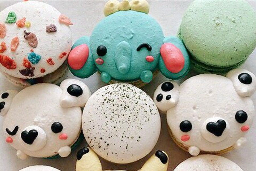 Animal Macarons