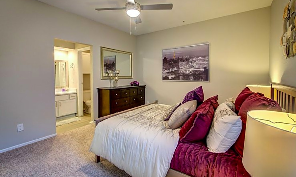 Budget apartments for rent in Far North, Dallas