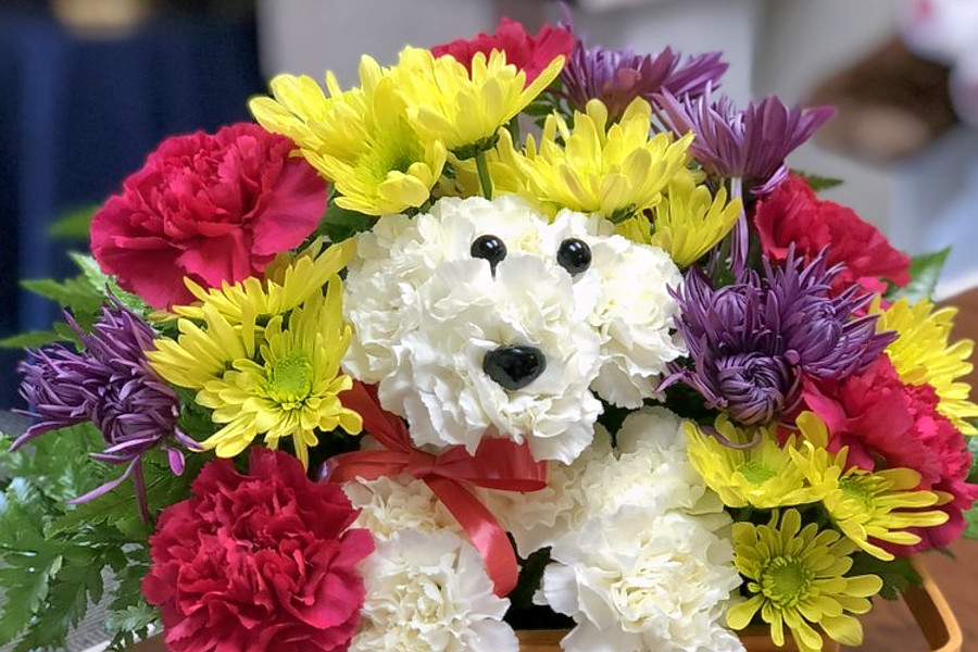 The 5 best florists in Aurora