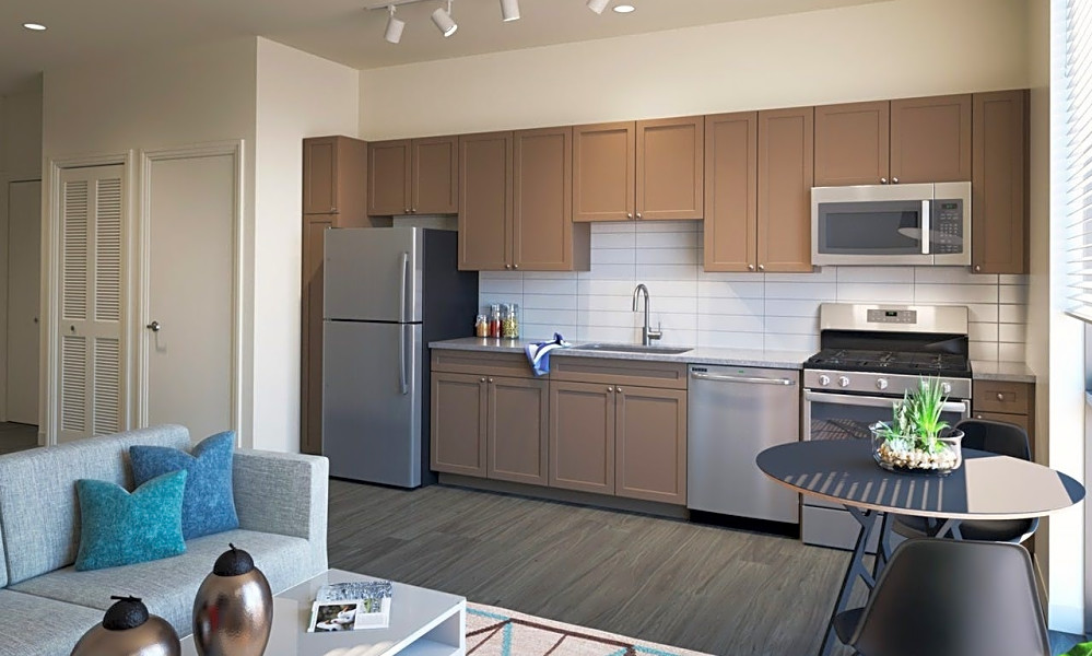 The cheapest apartments for rent in Goose Island, Chicago