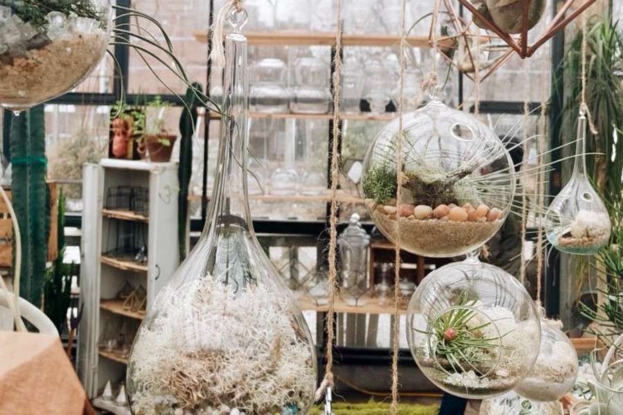 The 3 best plant nurseries in St. Louis
