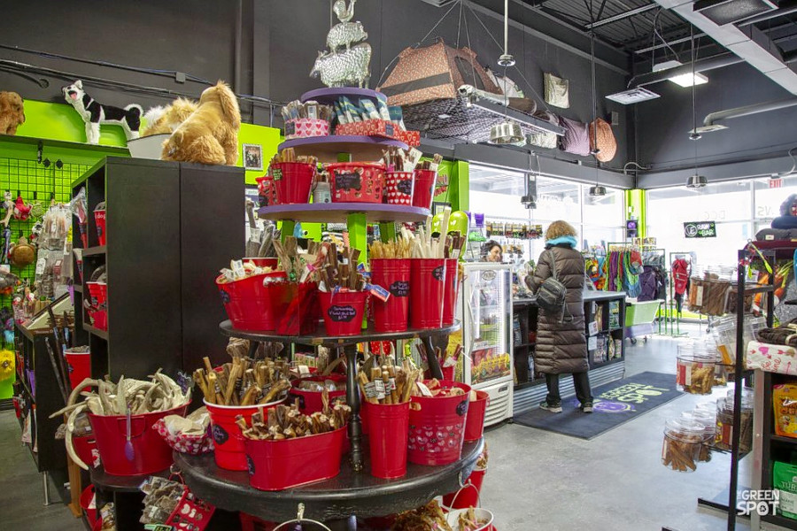 The 4 best pet stores in Omaha
