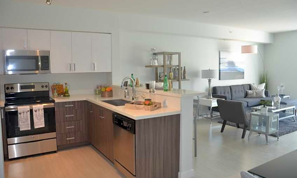 Apartments for rent in Miami What will 3,400 get you?