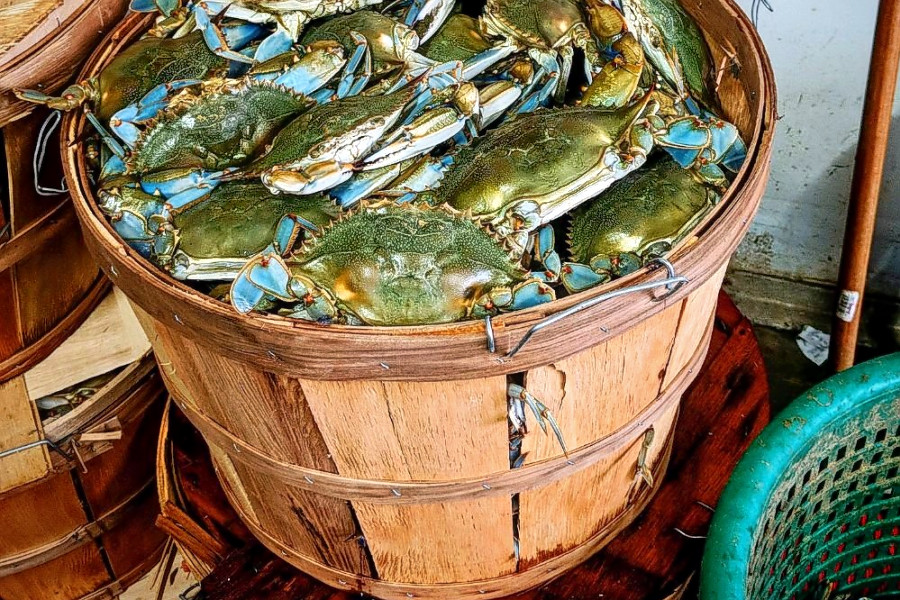 The 5 best seafood markets in Baltimore
