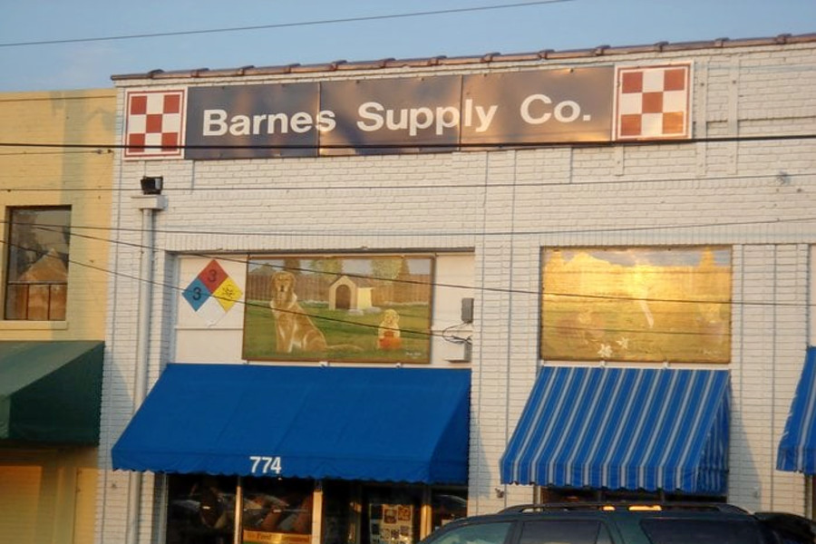 Durham's top 3 pet stores to visit now