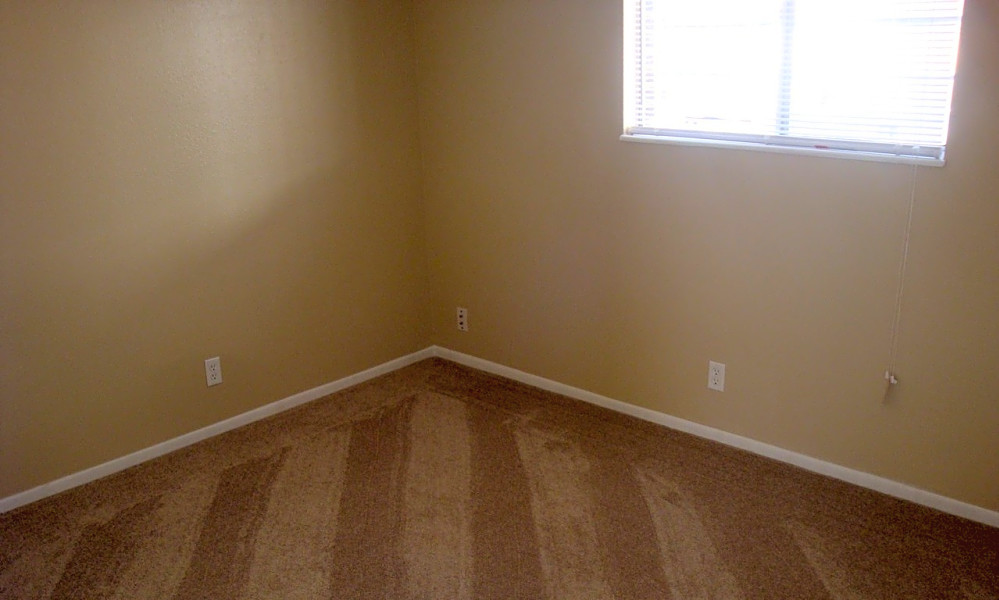 Renting in Colorado Springs What's the cheapest apartment available