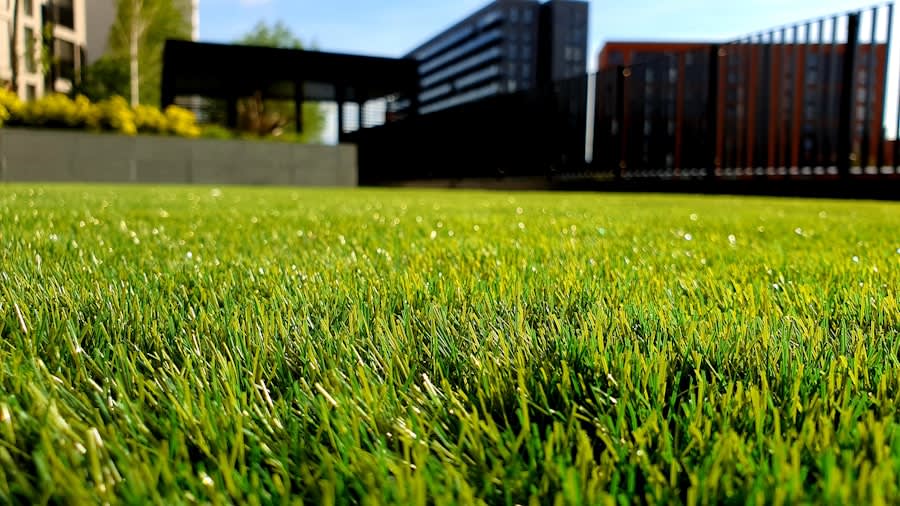 Jardin & terrasse ensoleillés