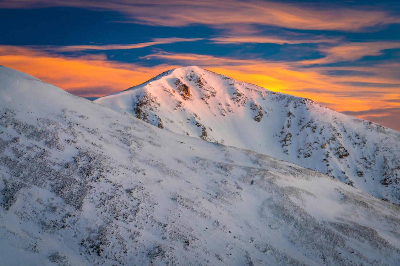 Divide in Winter Gold