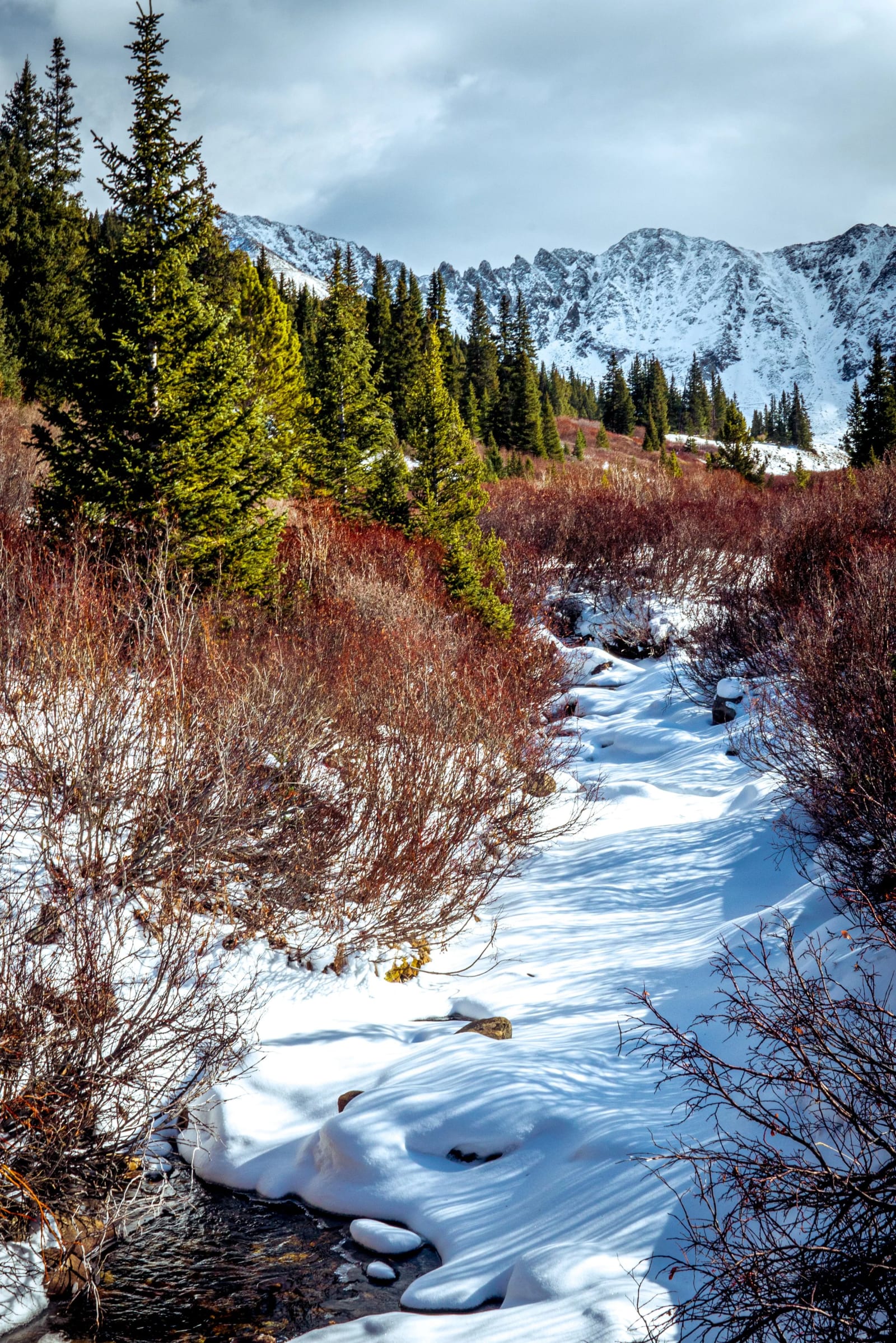 The Between-Seasons Look — Mayflower Gulch, Colorado. A creek cutting through a tangle of red willows with fresh snow on the banks and green spruce up the…