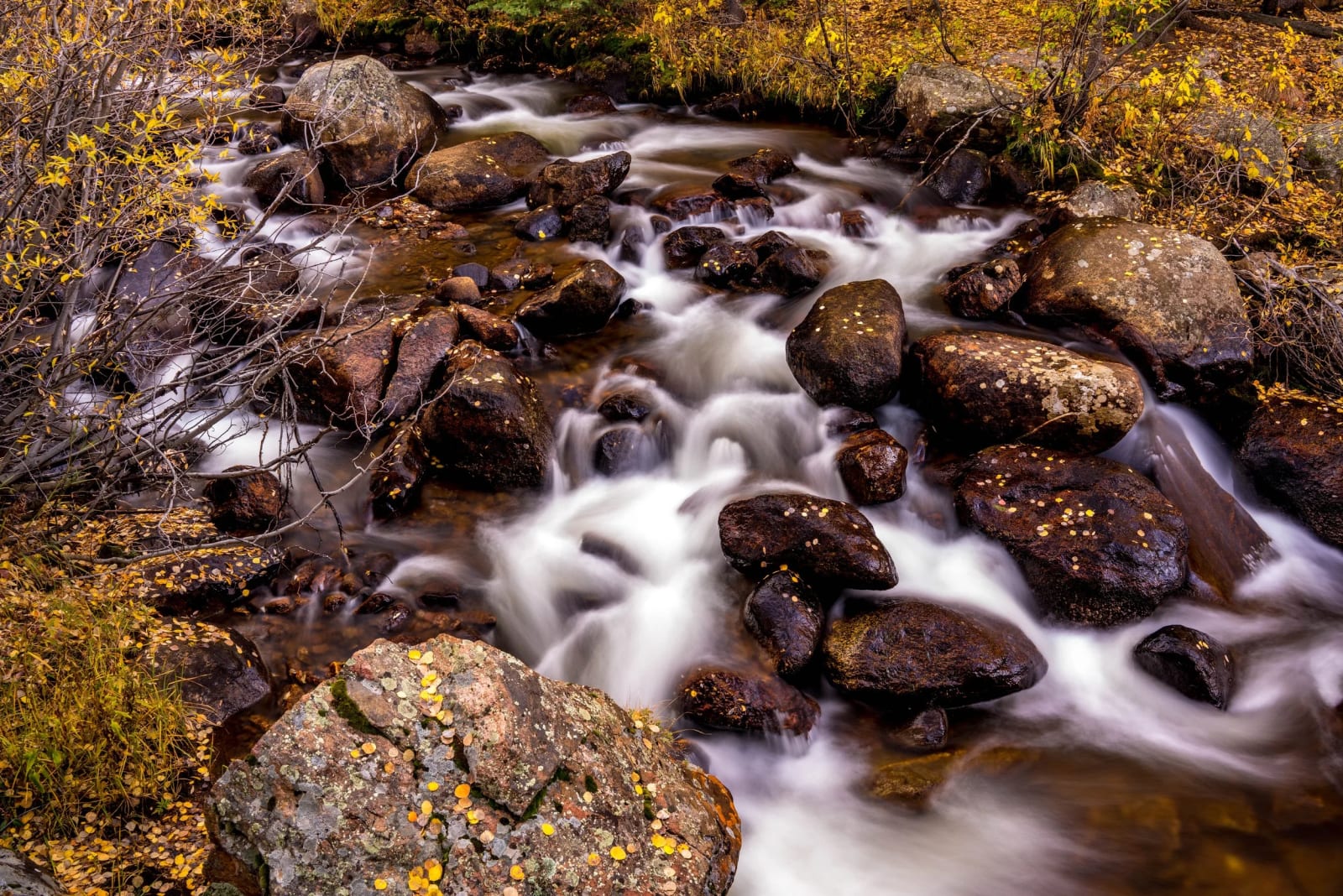 Whitewater and Lichen — Abyss Lake Trail, Colorado. Gold grass, lichen-crusted boulders, and whitewater braided through the rocks on a Colorado mountain…