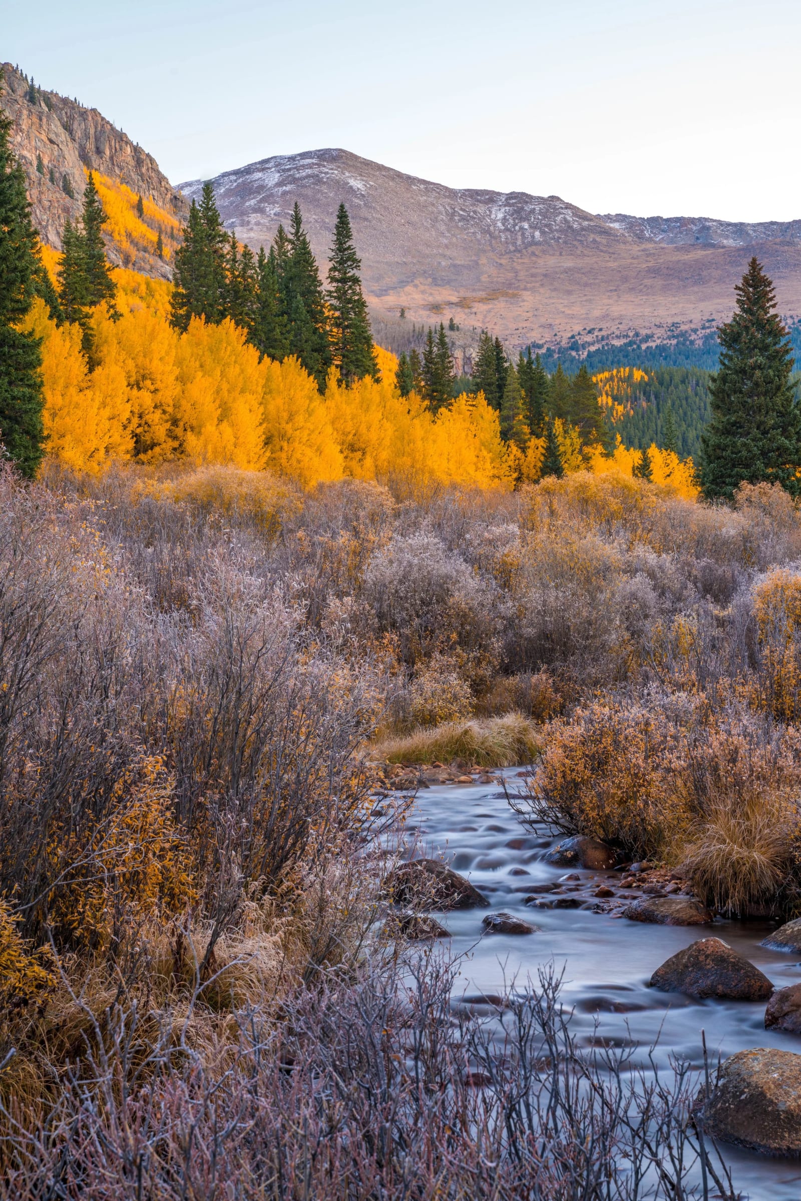 Frost on Everything the Sun Missed — Abyss Lake Trail, Colorado. Frost hanging on every willow the sun has not reached yet while the aspens up the hill get…