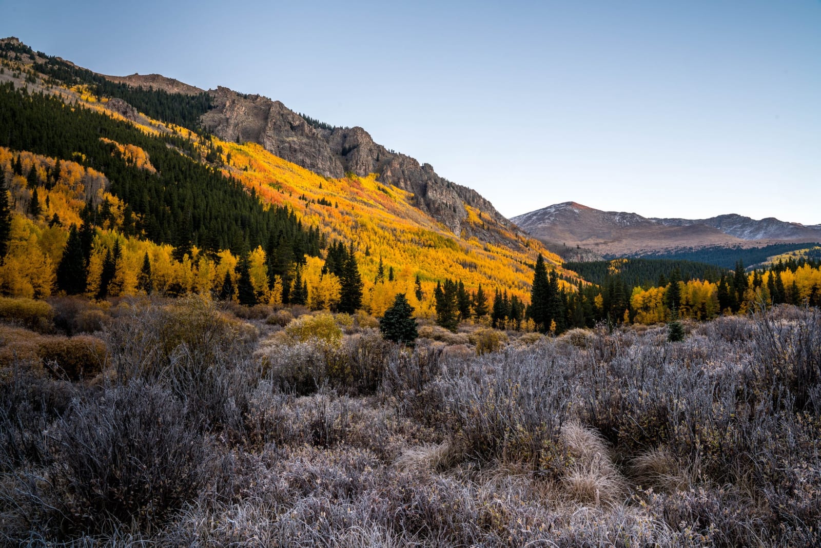 Frost That Did Not Survive the Hour — Abyss Lake Trail, Colorado. First sun sliding down a hillside of turned aspens while frost still holds in the shaded…