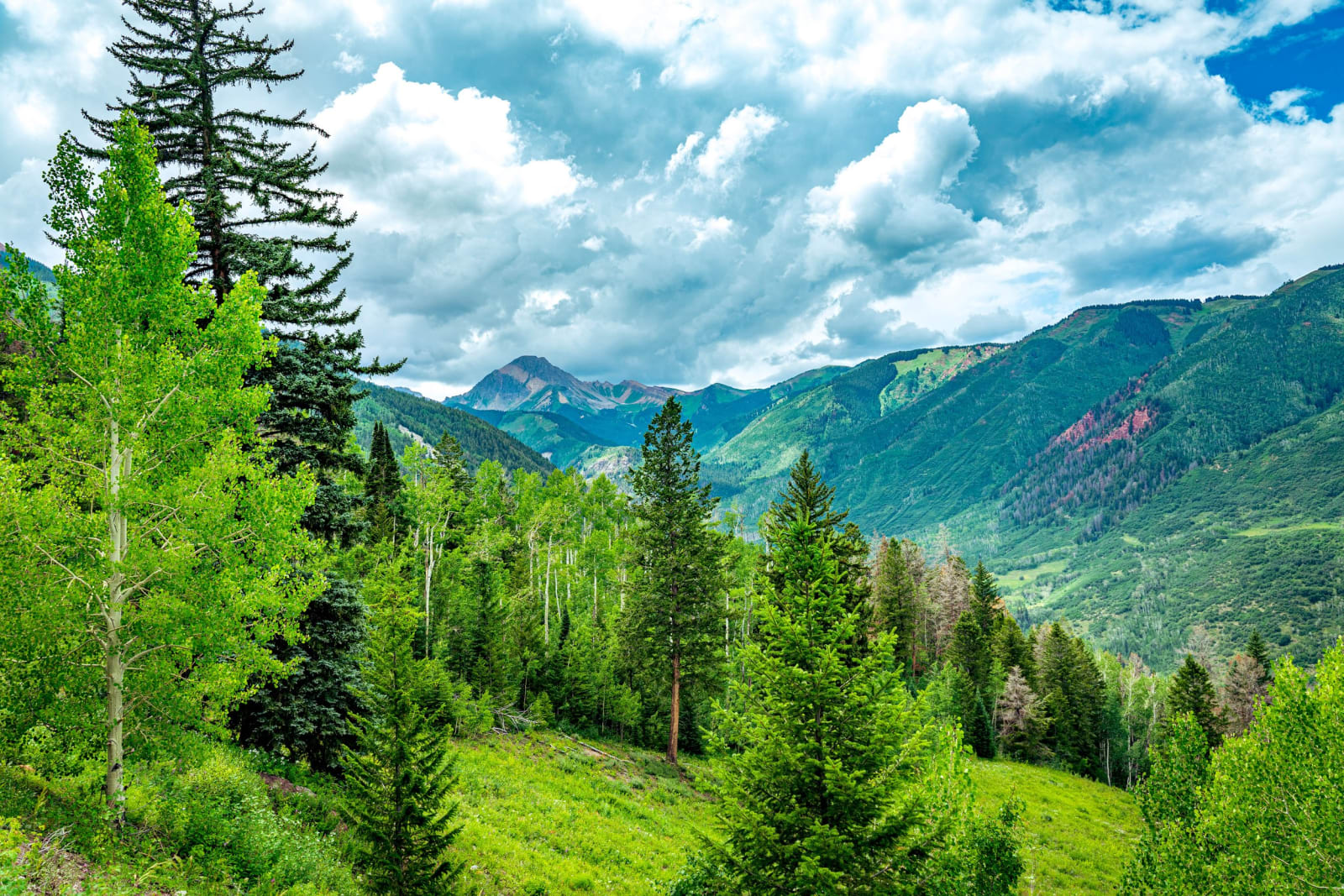Fifty Shades of Green — Snowmass Wilderness, Colorado. Fifty shades of green stacked between the aspens and the far peak in the Colorado high country, with…