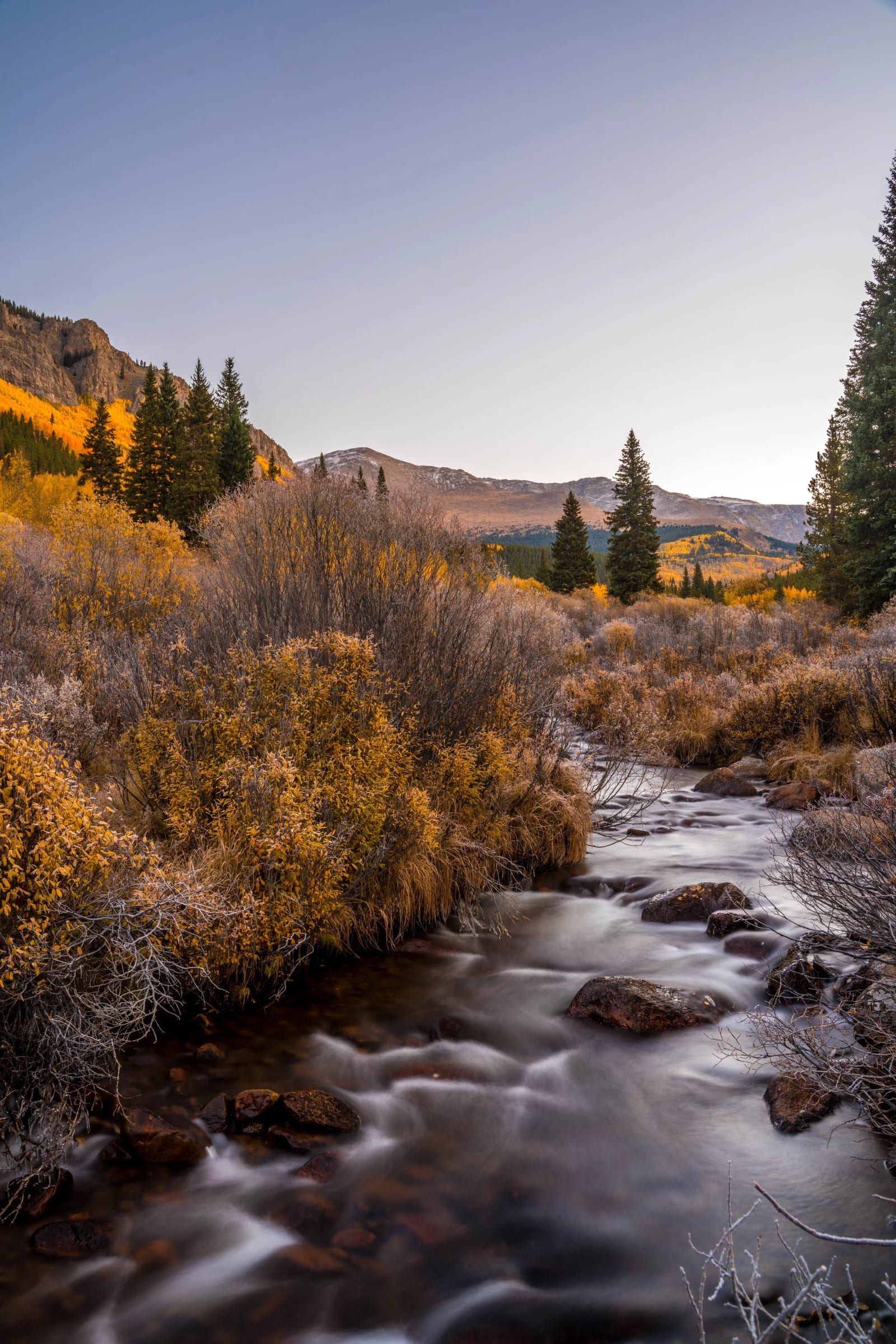 Frost on the Willows — Abyss Lake Trail, Colorado. Frost still hanging on the willows while a mountain creek slides through the last of the fall color at…