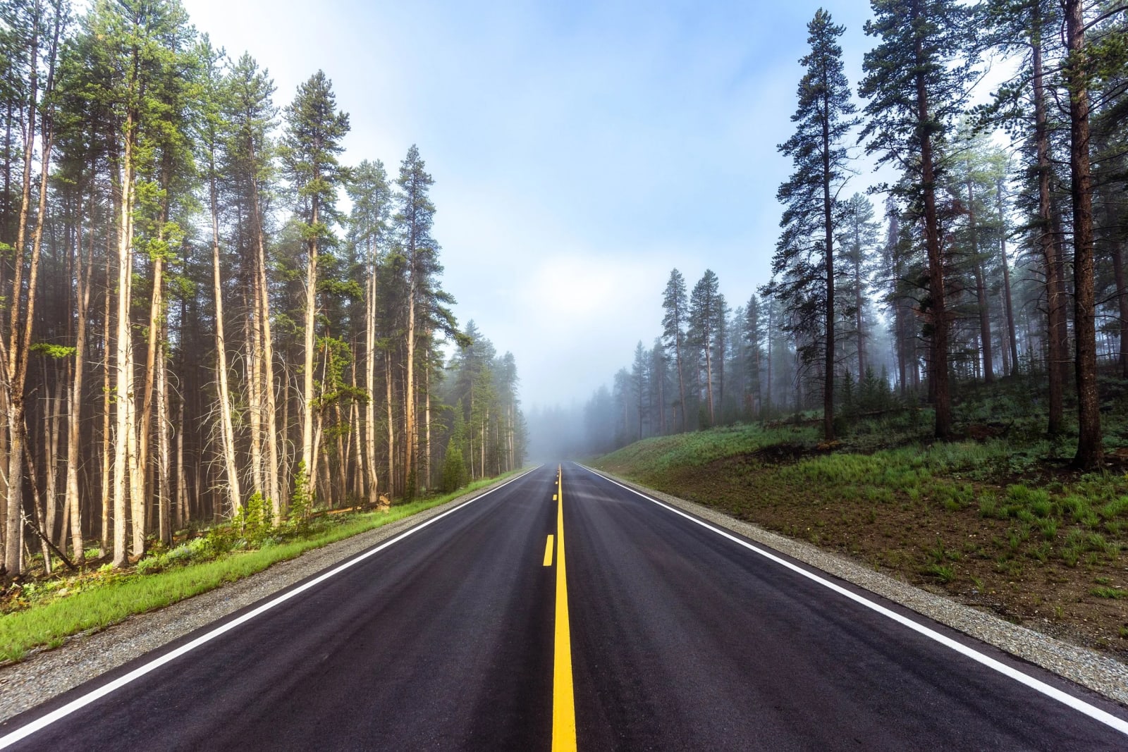 Straight Into the Fog — Cottonwood Pass, Colorado. An empty two-lane pointed straight into a wall of fog with lodgepoles standing in ranks along the shoulder.