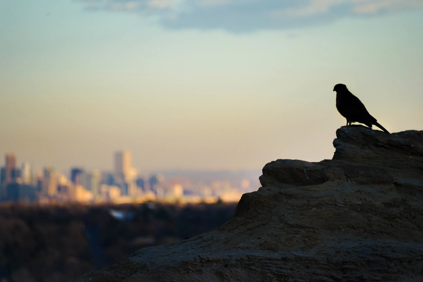 Keeping Watch Over Denver — Denver, Colorado. A silhouette holding the rocks in the foreground while downtown Denver goes soft in the evening haze behind it.
