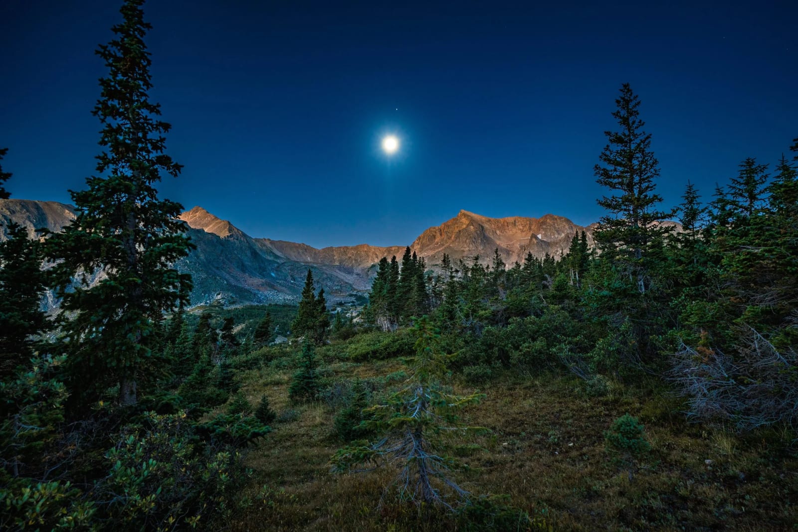 Moonlight on Arapaho Pass — Arapaho Pass. A full moon hanging over the pines on the way up Arapaho Pass in the Indian Peaks Wilderness, bright enough to…