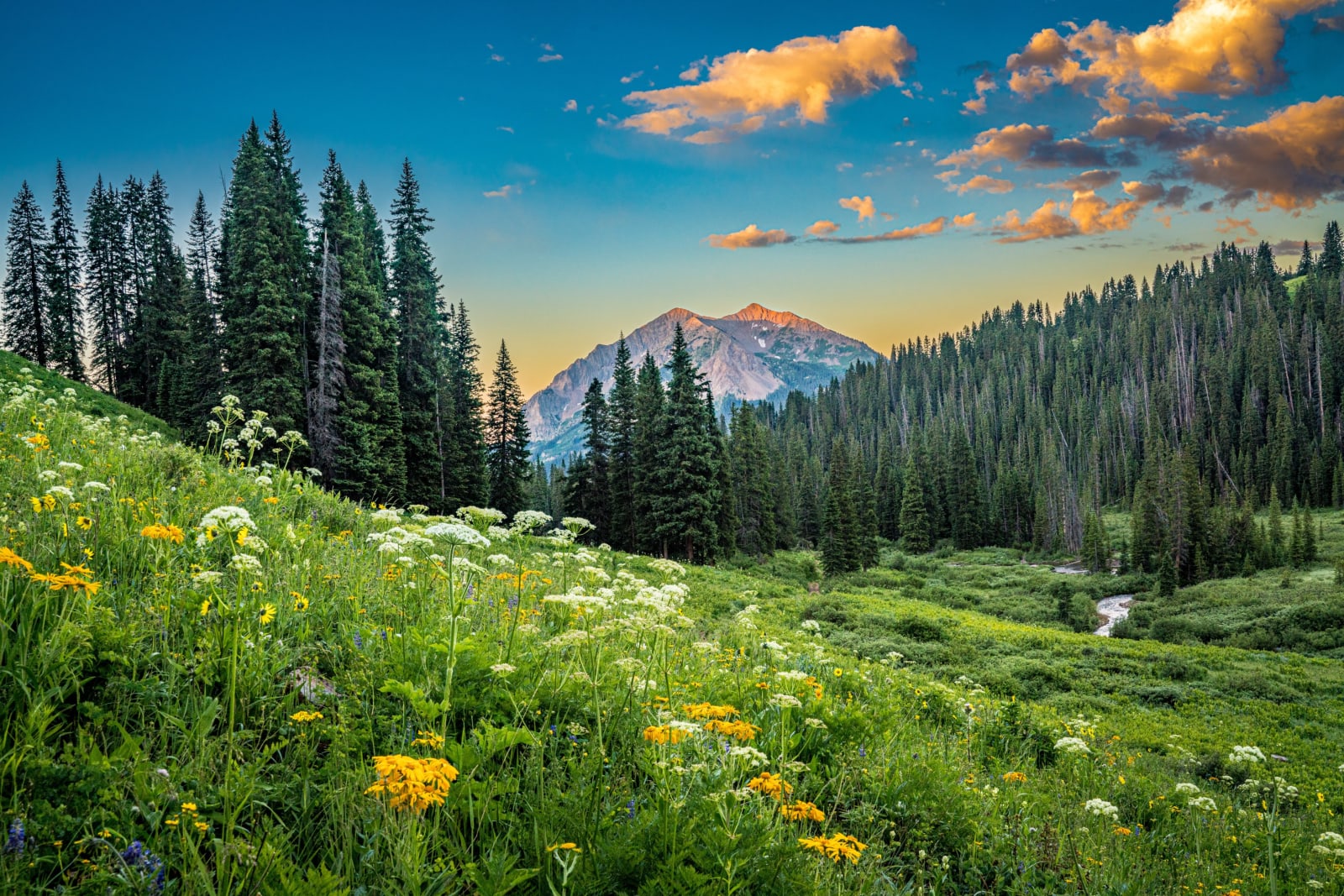 Early Light in Rustler's Gulch — Rustler's Gulch, Crested Butte, Colorado. First light on a peak above Rustler's Gulch near Crested Butte, Colorado, with a…