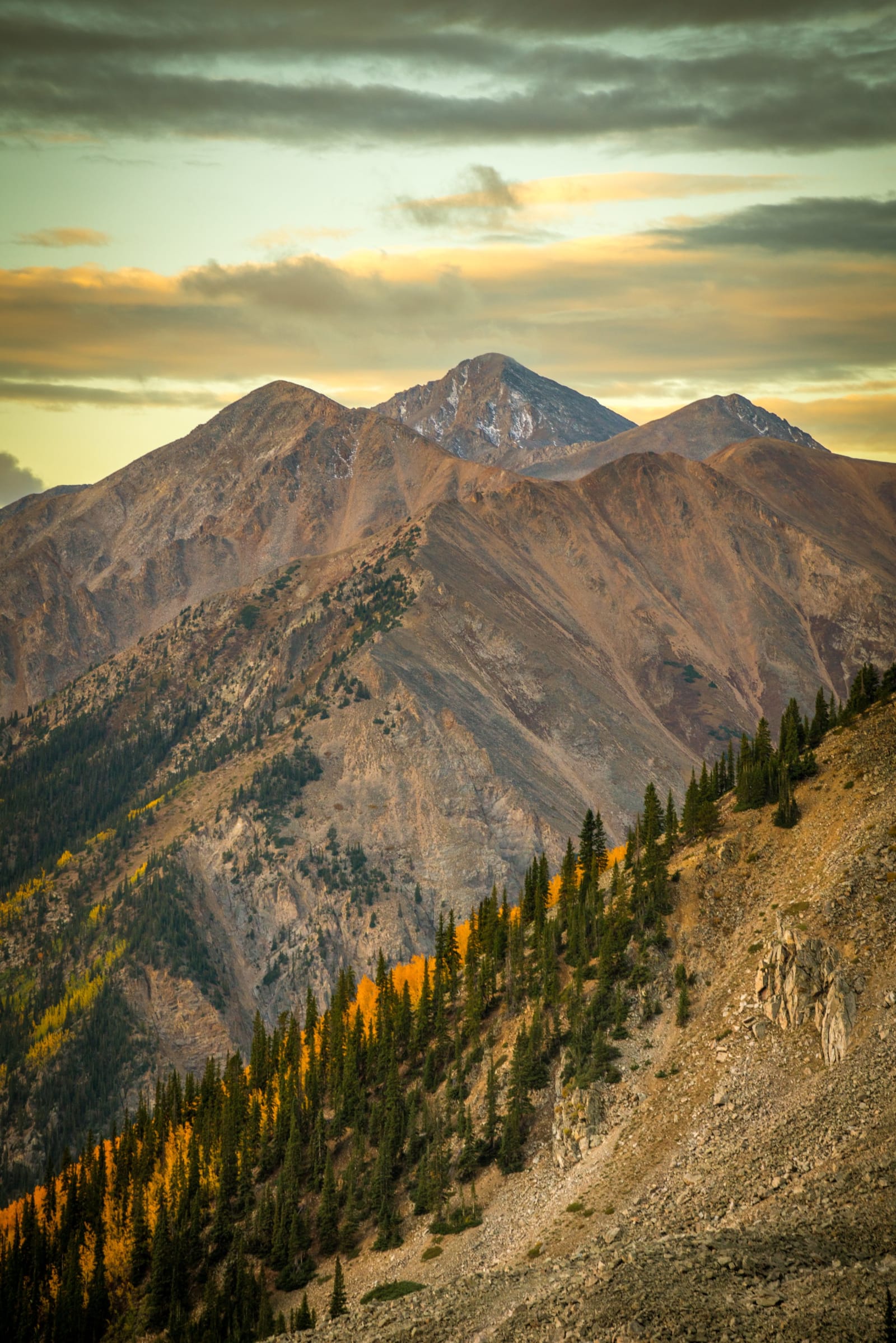 Autumn Climbs the Mountainside — Hope Pass, Colorado. Morning light over the Sawatch Range from the trail to Hope Pass, Colorado, with a line of turning…