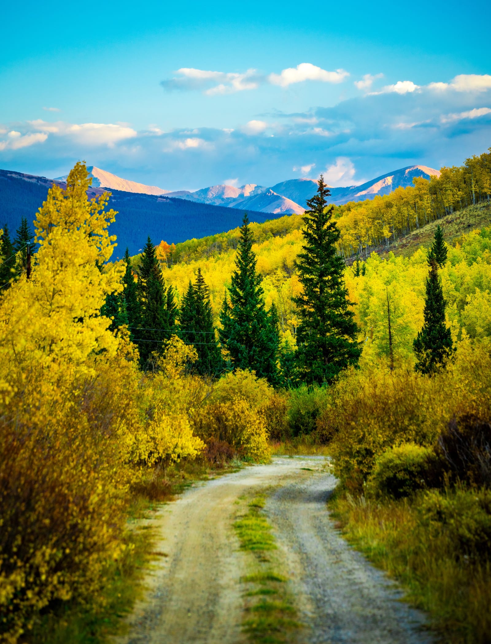The Long Way Through Kenosha — Kenosha Pass, Colorado. A two-track road curving through aspens at Kenosha Pass, Colorado, with the trees turning yellow and…