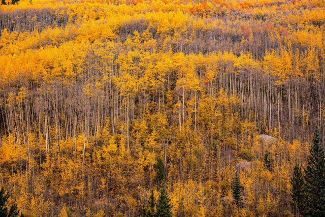 Marble, CO (Crystal River valley), Colorado — hiking and landscape photography spot