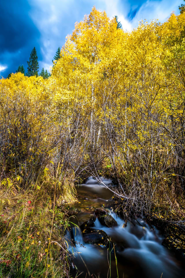 Three Mile Creek, Colorado — hiking and landscape photography spot