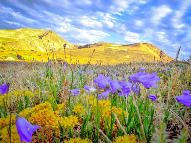 James Peak, Colorado — hiking and landscape photography spot