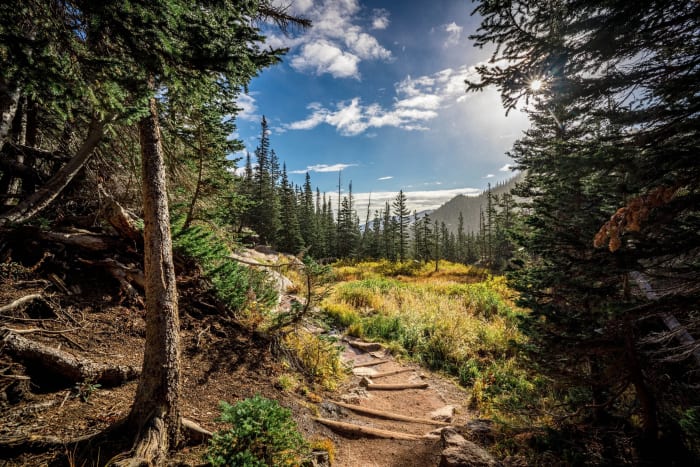 Sun Finds the Trail — Buena Vista, Colorado. Sun finding its way down through the spruce onto a rocky trail in the Colorado high country, with a peak just…