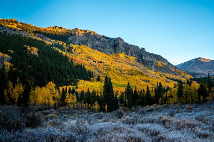 A Whole Mountainside Turning — Abyss Lake Trail, Colorado. Morning sun raking across an entire mountainside of turning aspens, gold pouring down the slope…