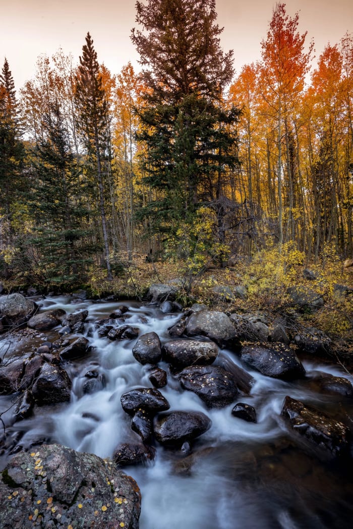 Stair-Stepping Down Through the Boulders — Abyss Lake Trail, Colorado. A creek stair-stepping down through boulders while aspens burn orange and gold on the…