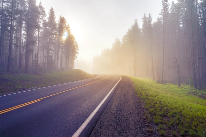 The Sun Wins the Argument — Cottonwood Pass, Colorado. The sun finally breaking through a wall of morning fog along a Colorado mountain road, backlighting…