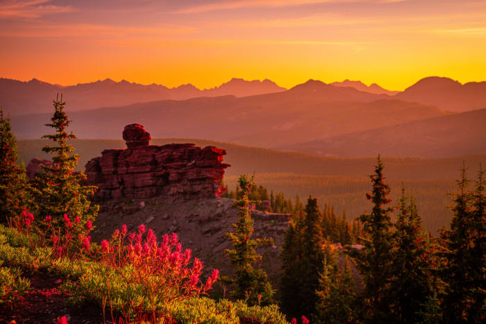 Paintbrush on Shrine Ridge — Shrine Pass, Colorado. Looking out from the top of Shrine Ridge near Vail Pass, Colorado, as morning light turns the haze…