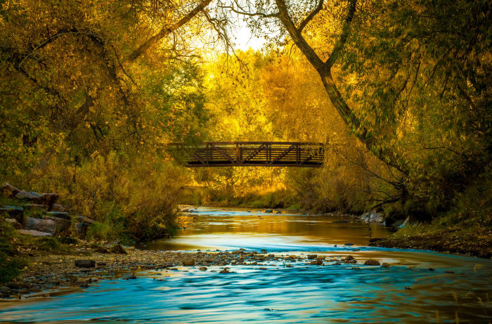 Golden Hour on Clear Creek — Wheat Ridge, Colorado. Golden hour on Clear Creek in Wheat Ridge, Colorado, with cottonwoods and willows glowing over the water…