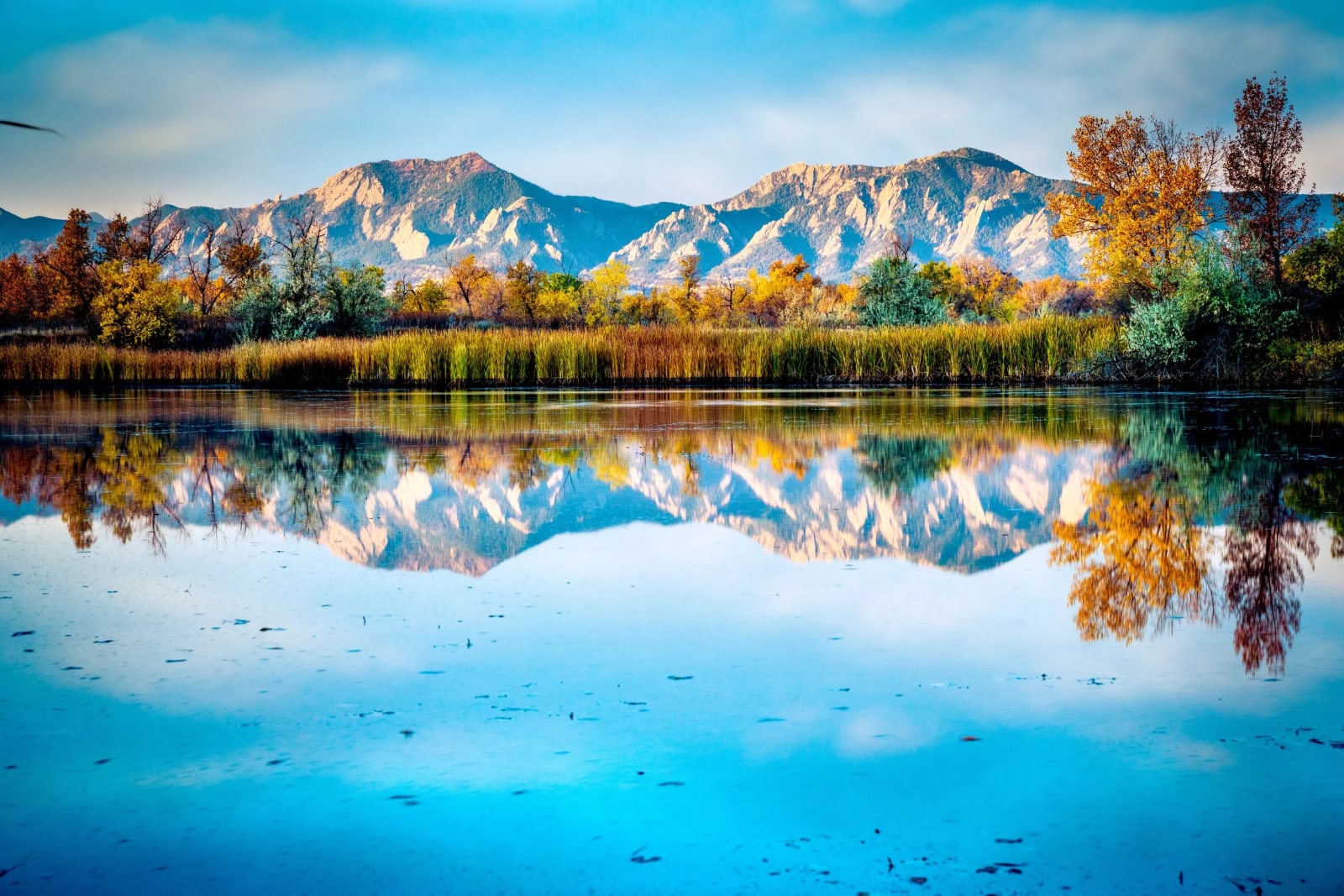 Sawhill Ponds Wildlife Preserve, Colorado — landscape photo by Chris Heaton