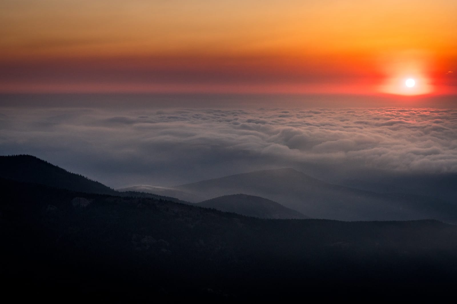 Above the Cloud
