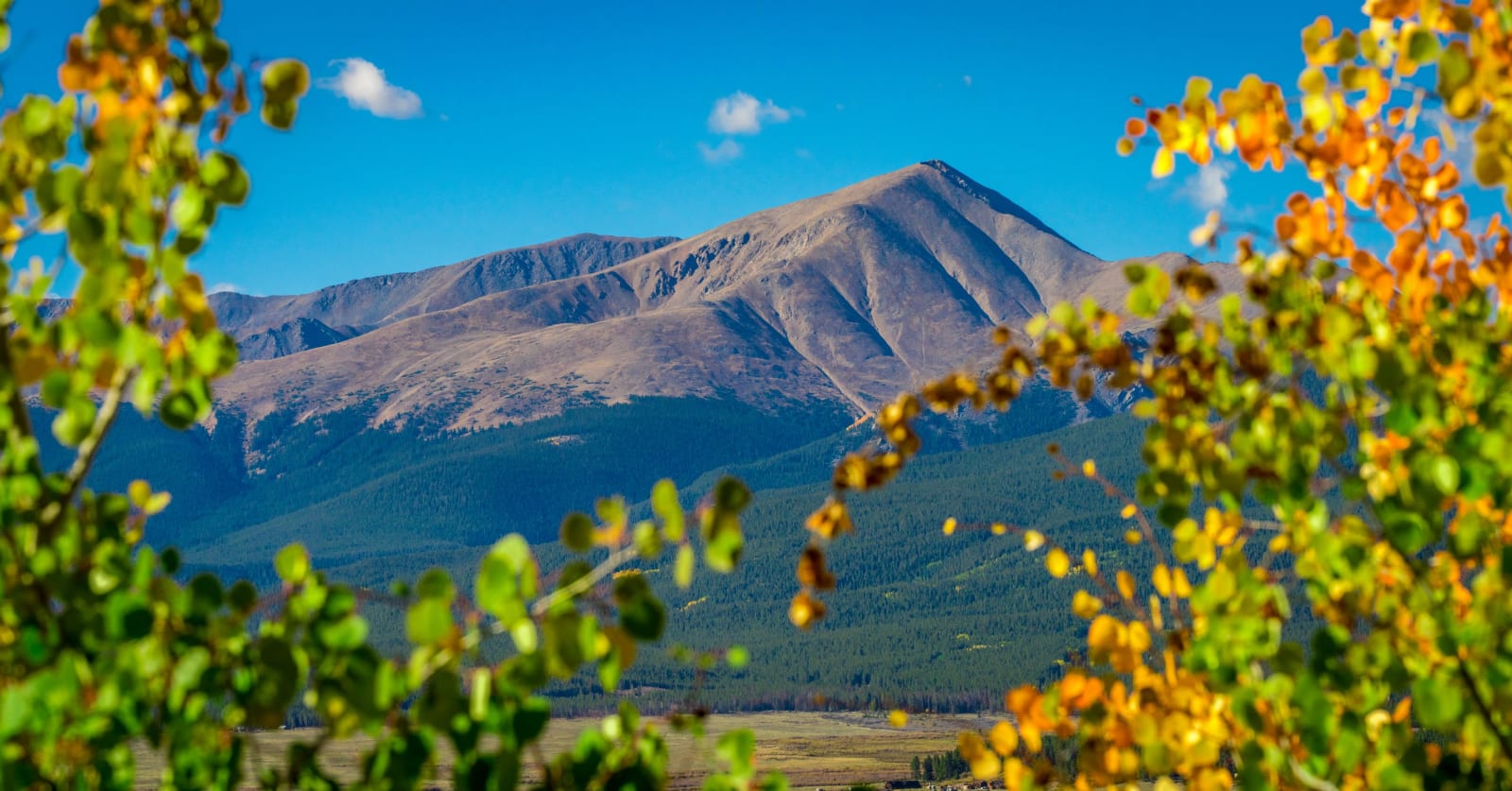 Through the leaves I spy a massive mountain