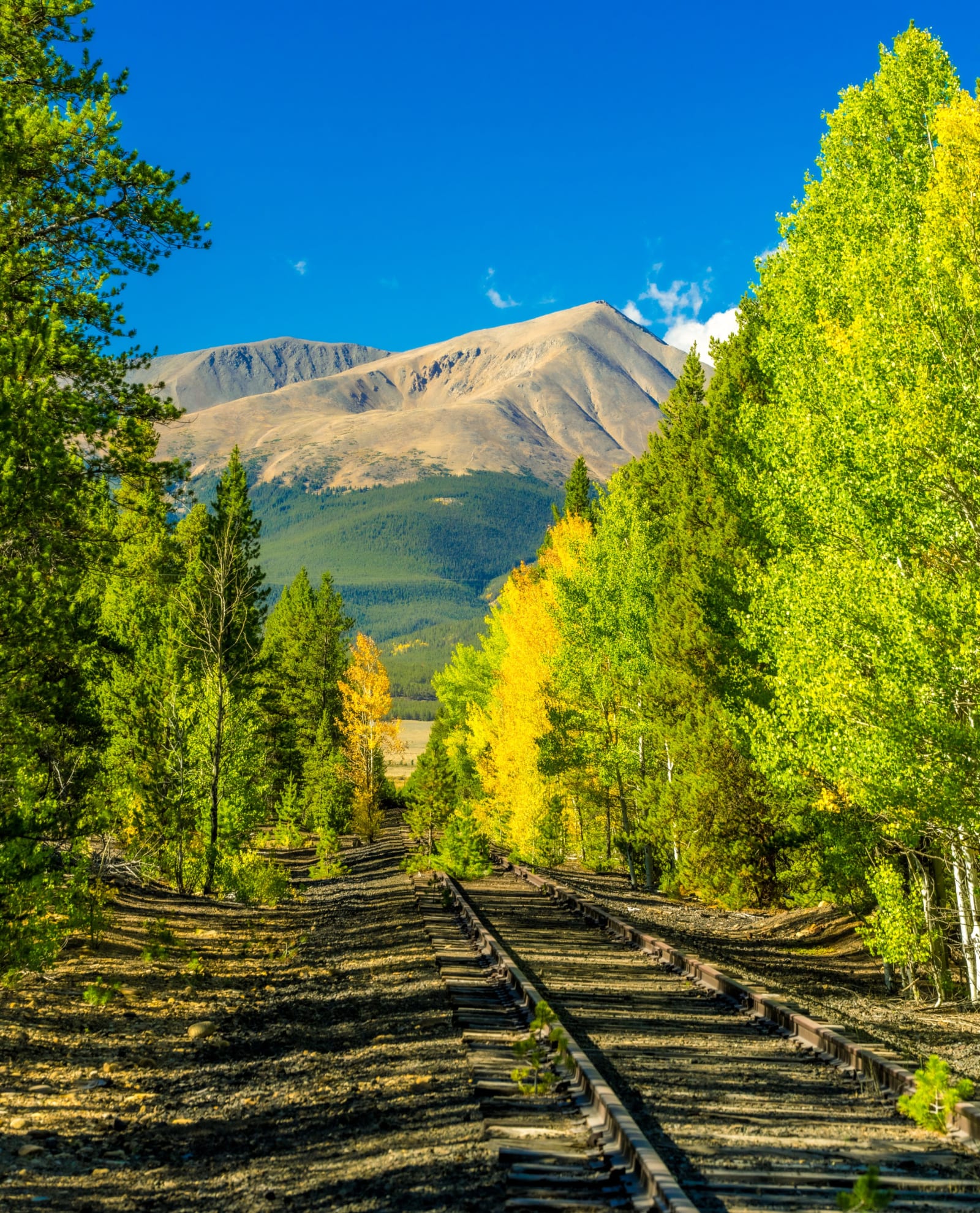 Follow the tracks in Leadvi