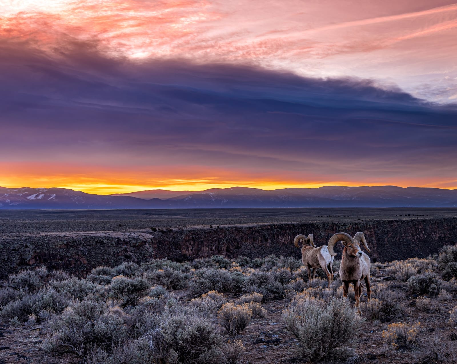 Dawn on the Rio Grande Rim