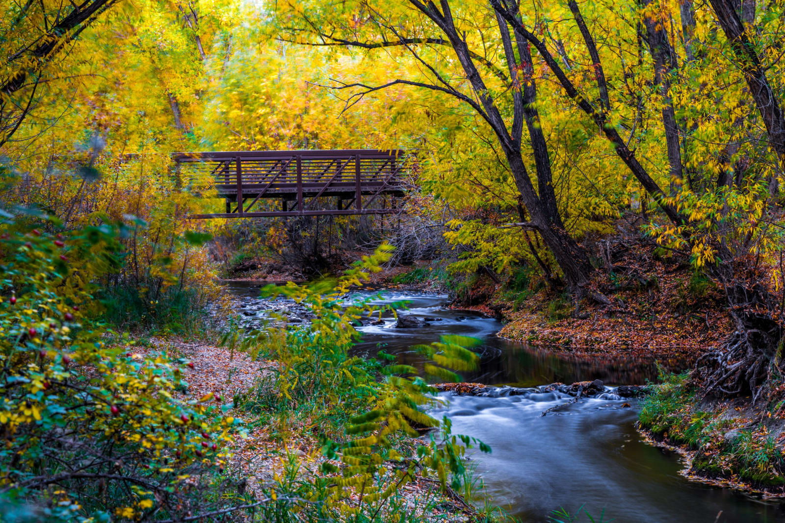 The Footbridge in Fall