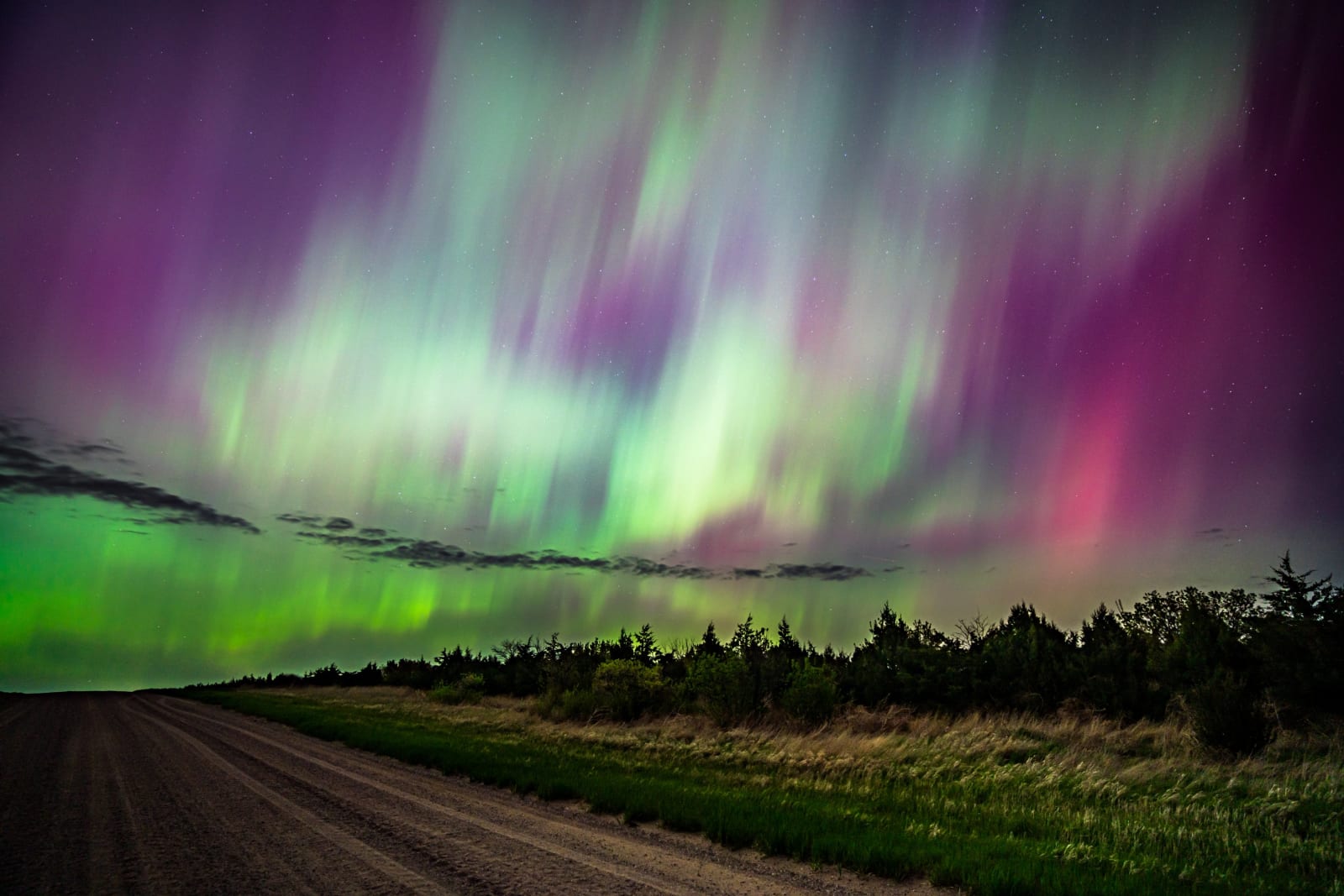Green Curtain Over the Plains