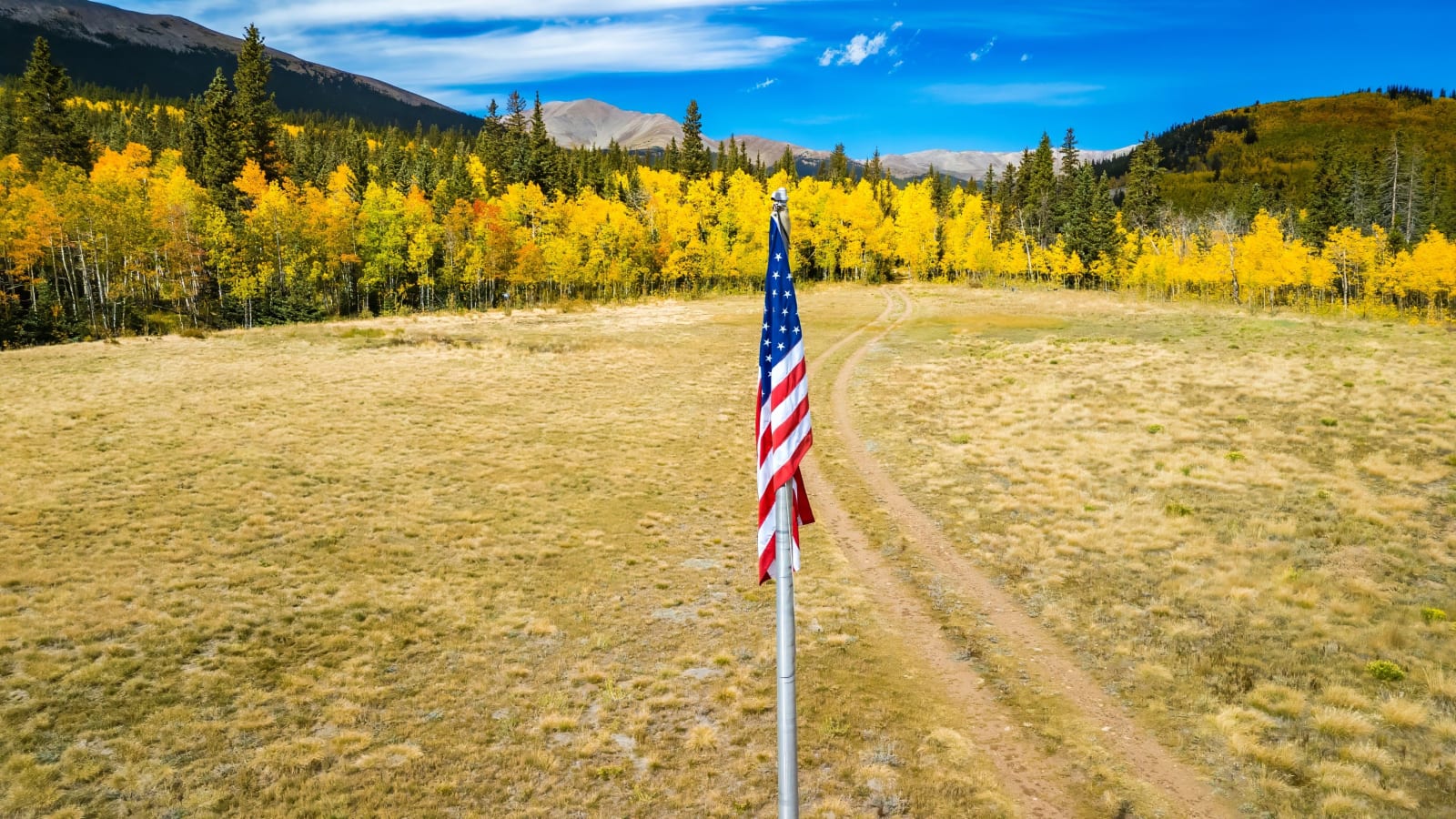 Flag on a Two-Track