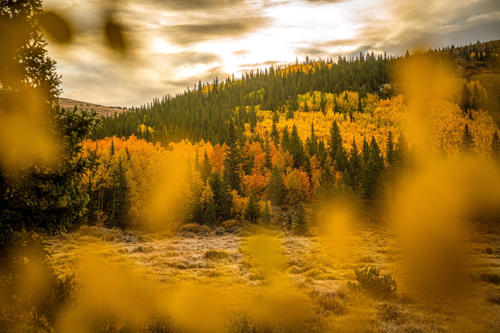 Shooting Through the Gold