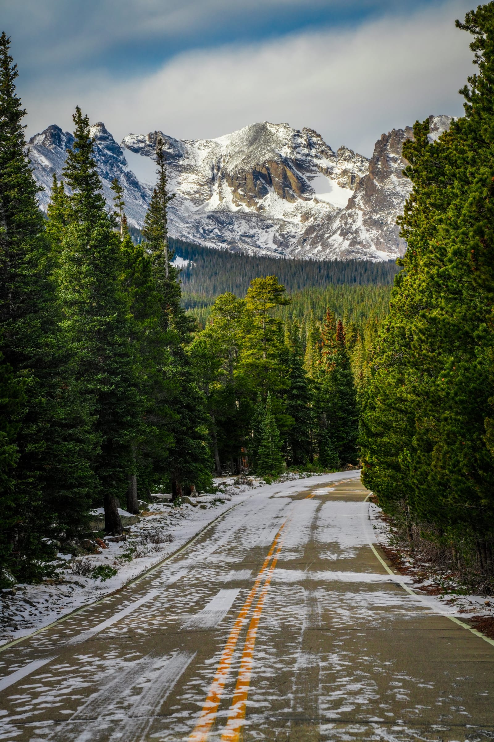 Spruce Ranks Below the Divide