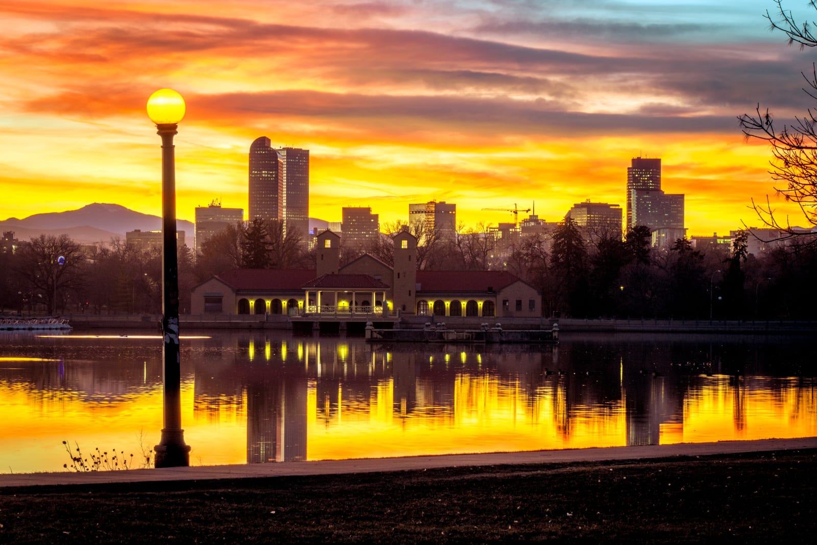 Lamplight and Skyline