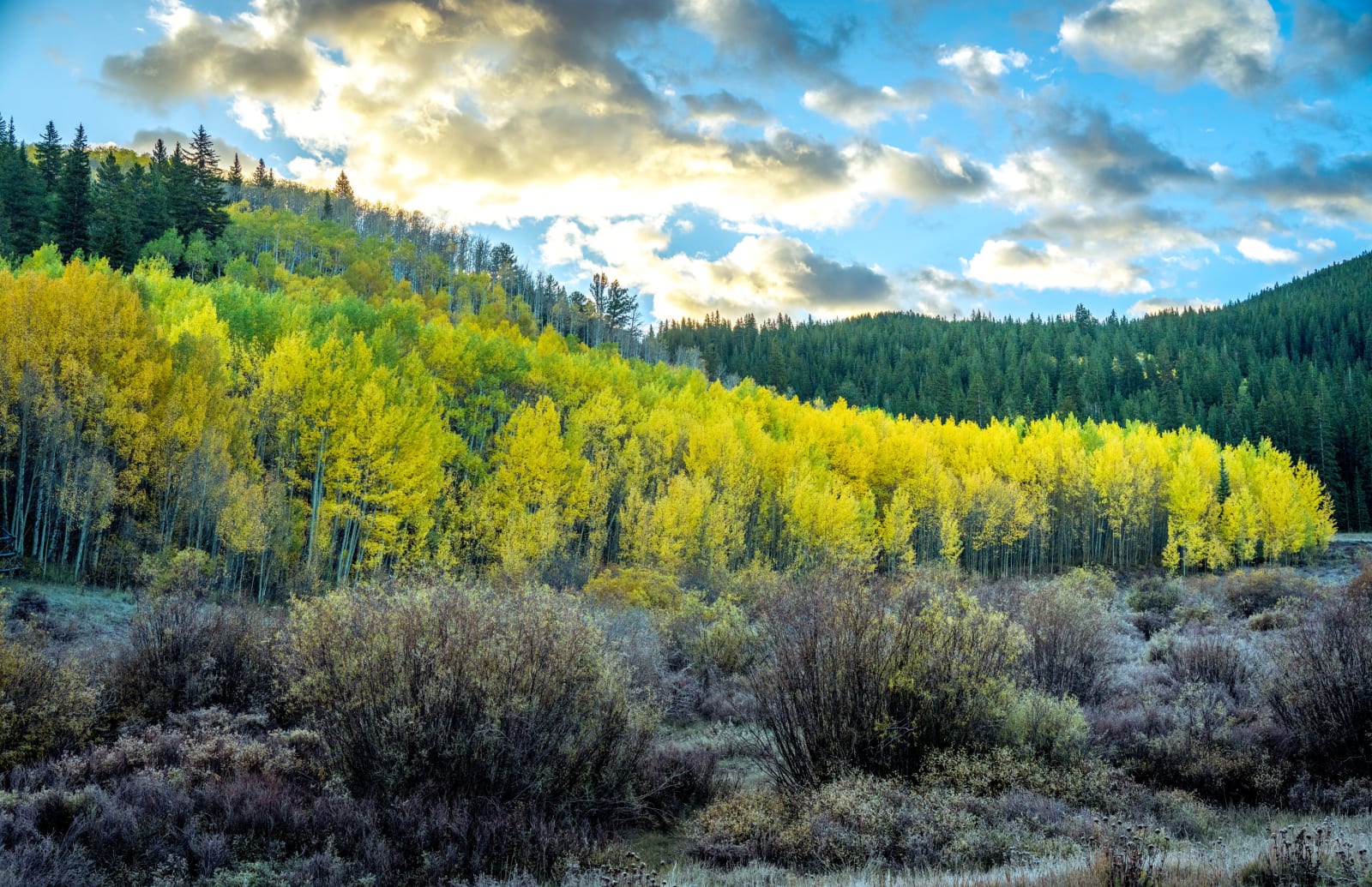 Sunrise near Aspen Alley