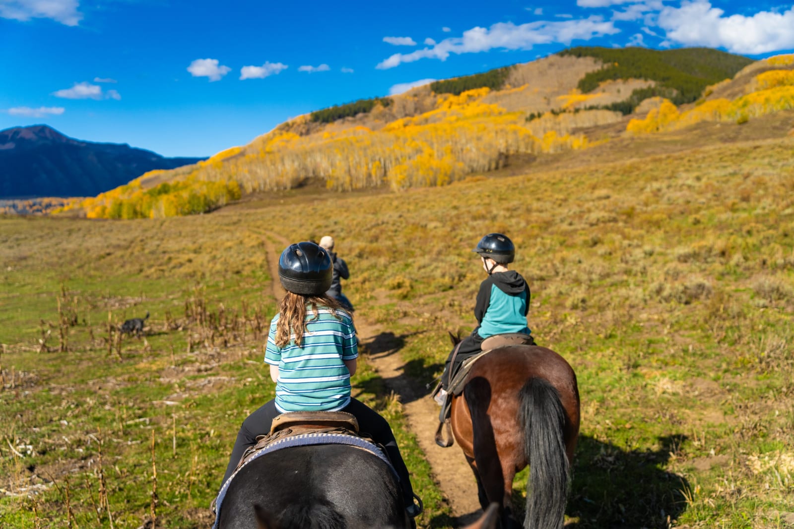 Horse Riding on Teddy's Trail